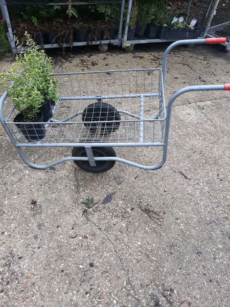 Plant Trolley for sale in UK | 66 used Plant Trolleys