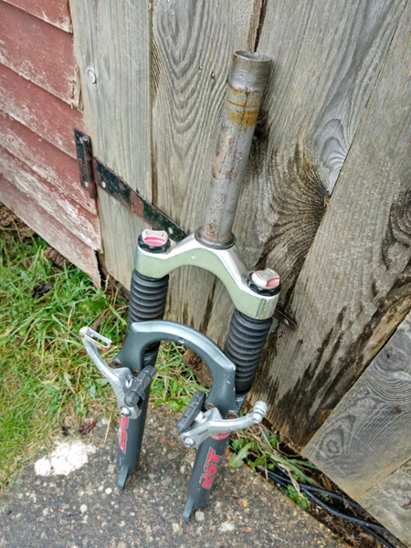 mozo forks