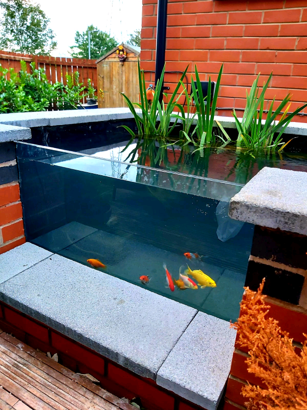 Brick raised ponds in Hull, East Yorkshire Gumtree