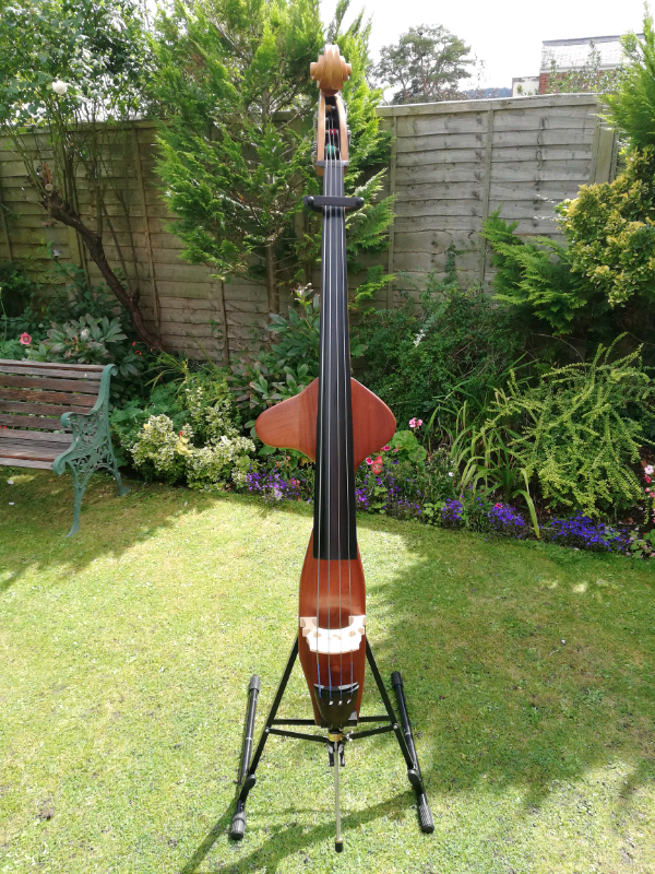 Electric Double Bass in Cheltenham, Gloucestershire Gumtree