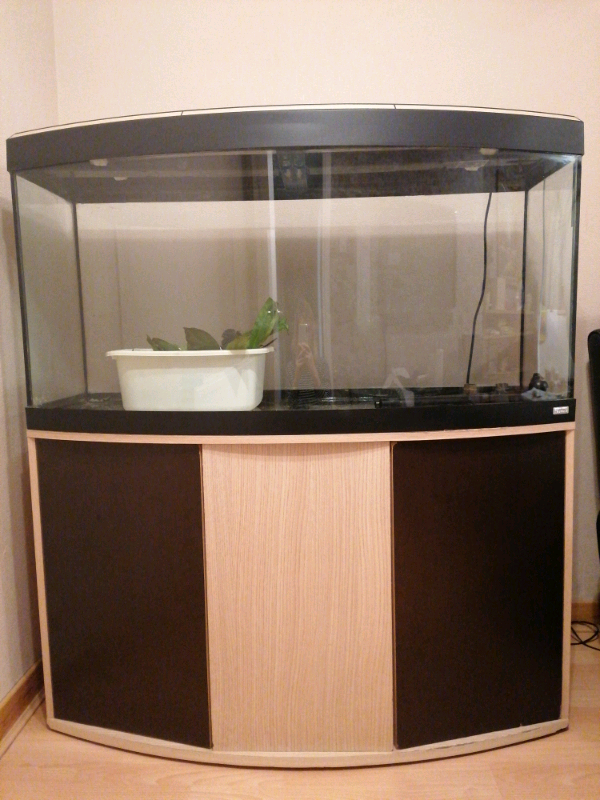 280l fish tank in Southside, Glasgow Gumtree