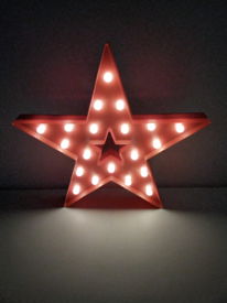 Light up 20 led star 15" x 15" indoor star
New in box
