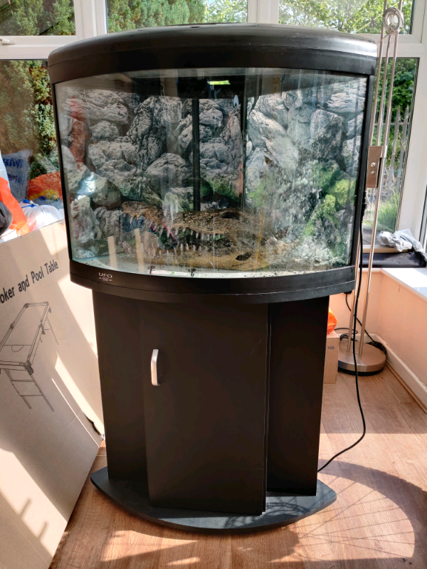 Aqua one UFO 550 2 x corner aquarium and 1x stand for sale in