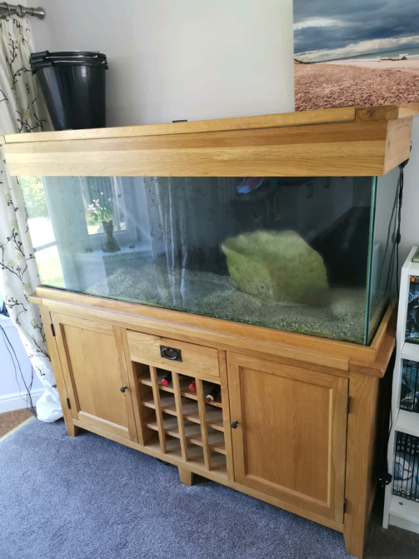 Oak fish tank in Peebles, Scottish Borders Gumtree