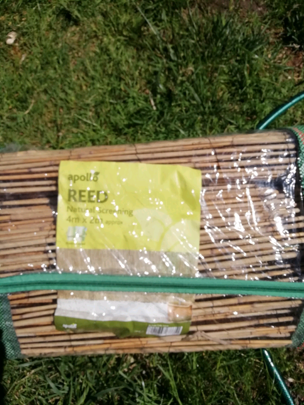 Reed garden screening | in Rainham, Kent | Gumtree