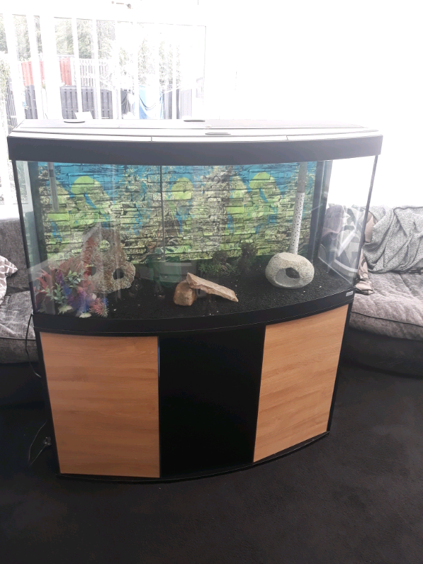4ft bowfront fluval fish tank in Sheffield, South Yorkshire Gumtree