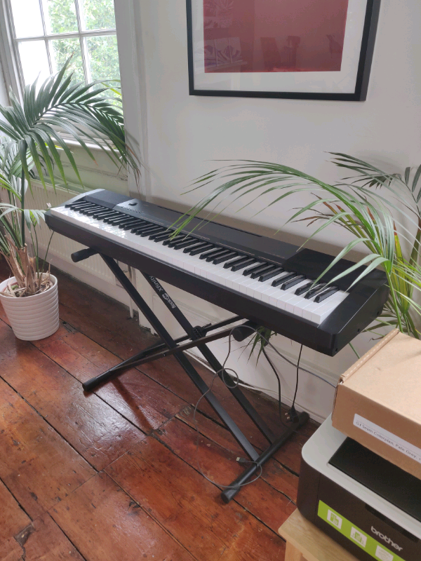 Casio Electric Keyboard/Piano (88 keys), plus stand and sustain pedal