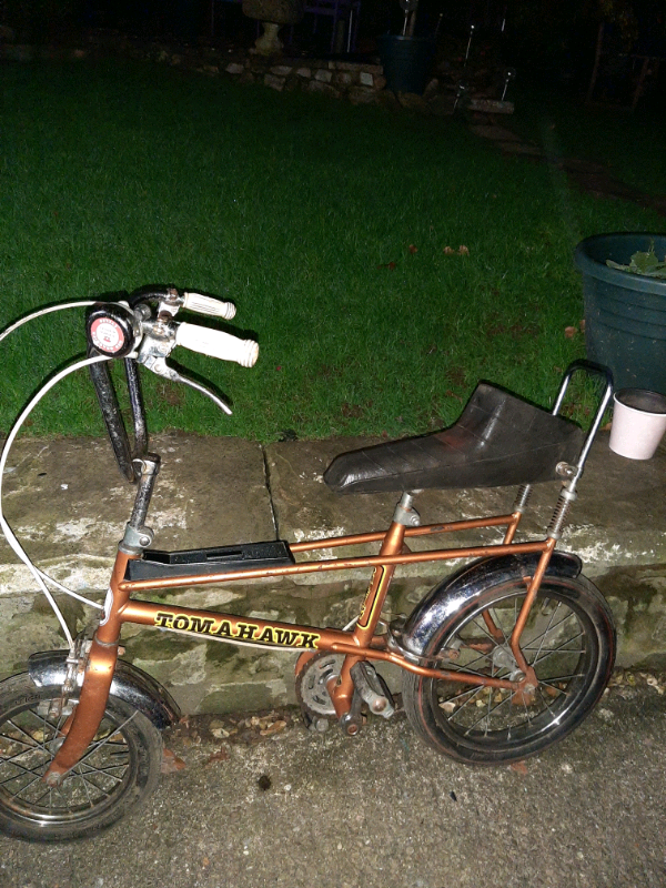 raleigh tomahawk bike