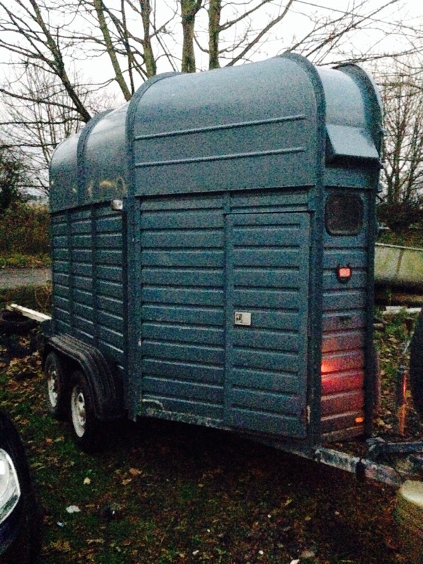Rice Europa horse trailer in Newcastle, Tyne and Wear Gumtree