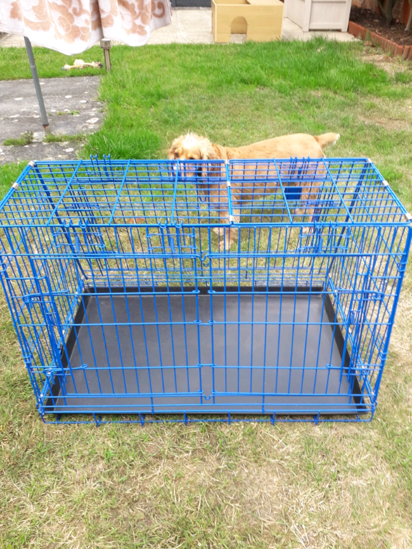 Dog cage in Plymouth, Devon Gumtree