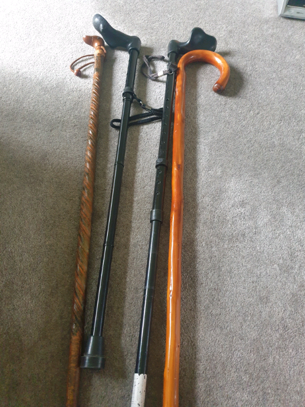 Walking sticks | in Cambridge, Cambridgeshire | Gumtree