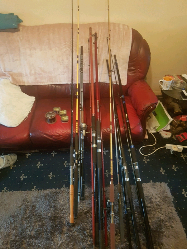 9 fishing rods and 5 reels for sale in BlaydononTyne, Tyne and Wear