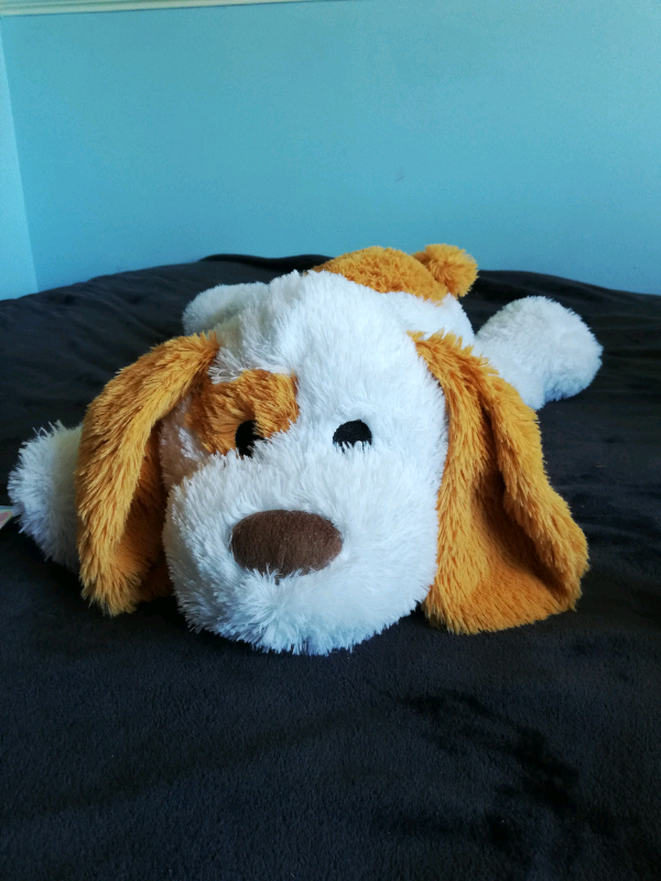Cuddly toy dog in Corfe Mullen, Dorset Gumtree