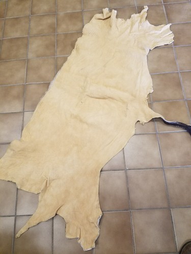 African Gemsbok Hide Tail Orix Taxidermy Mount Tanned Fur Crafts Log Cabin Decor