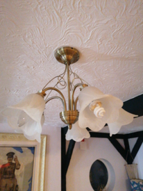 Ceiling Lights For Sale In Portsmouth Hampshire Lighting Light