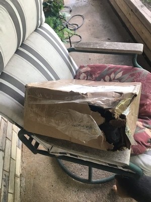 Fotos del artículo de un comprador verificado