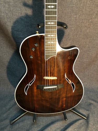 Taylor T5 Macassar Ebony