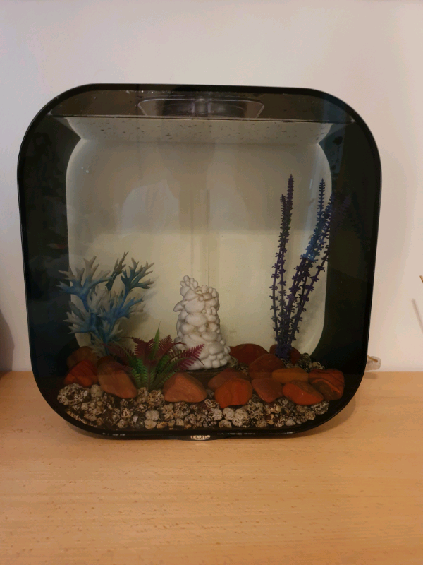 940 Aquarium Design Centre Glasgow Gratis