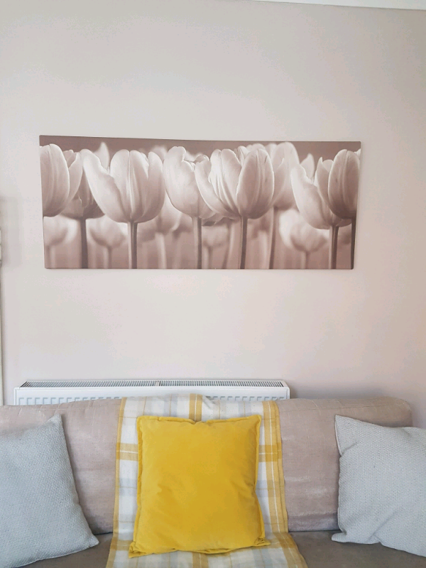 Ikea canvas in Arnold, Nottinghamshire Gumtree