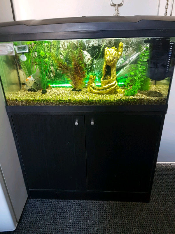 2ft 7" tropical fish tank in Halifax, West Yorkshire Gumtree