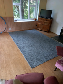 Large IKEA rug £30