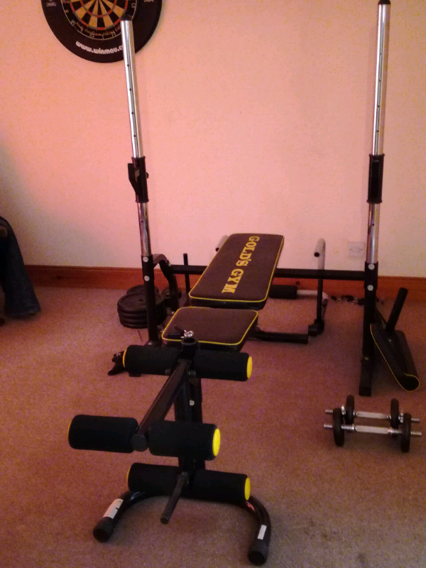 Gold S Gym Weight Bench In Perth Perth And Kinross Gumtree