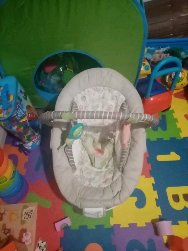 Ingenuity baby bouncer | in Clifton, Bristol | Gumtree