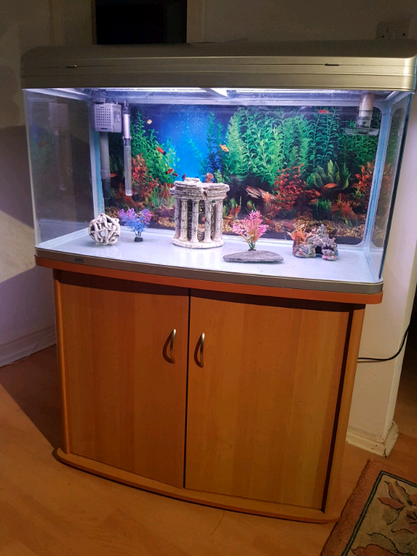 4ft AQUA ONE FISH TANK AND STAND FOR SALE FULL SET UP in Salford