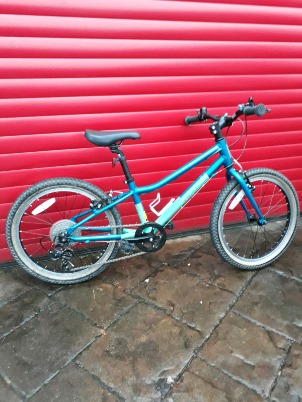 pinnacle ash 20 weight