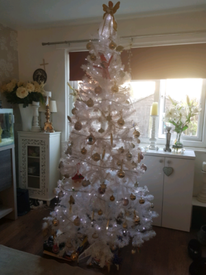 Tree For Sale In Liverpool Merseyside Gumtree