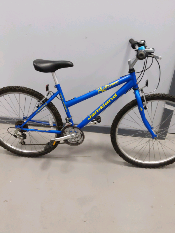 Ladies or teens Raleigh jamtland LTD edition mountain bike for sale
