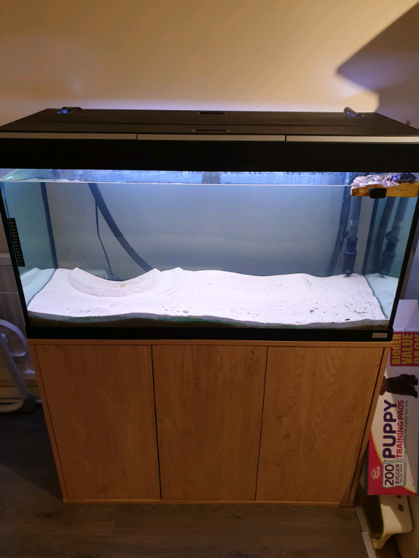 200 litre fish tank in Newport Gumtree