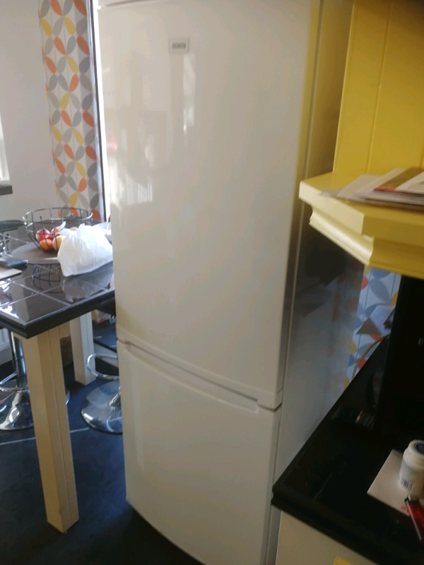 Zanussi fridge freezer 60cm x 174 cm in Sunderland, Tyne and Wear