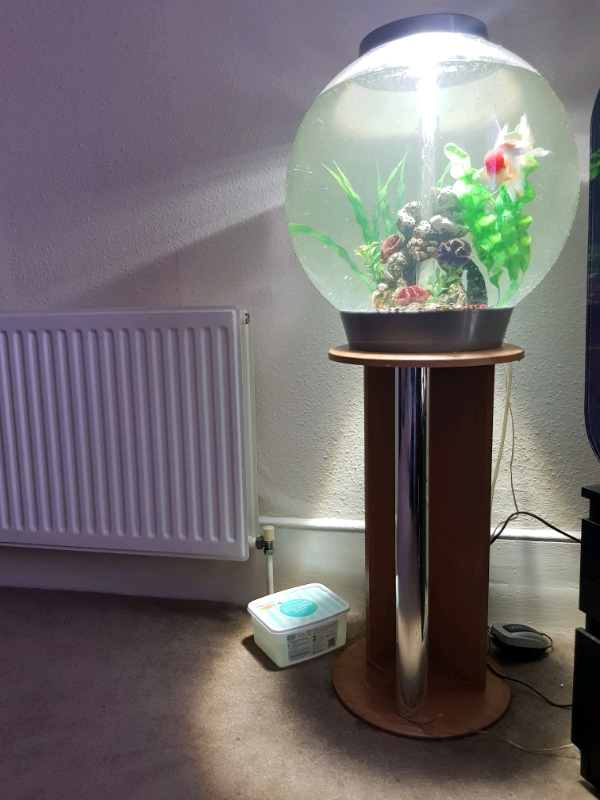biOrb CLASSIC 60 fish tank Aquarium Silver and stand | in North