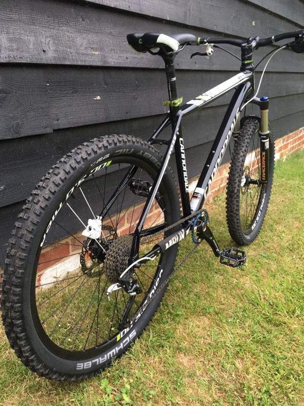cannondale single speed 29er for sale