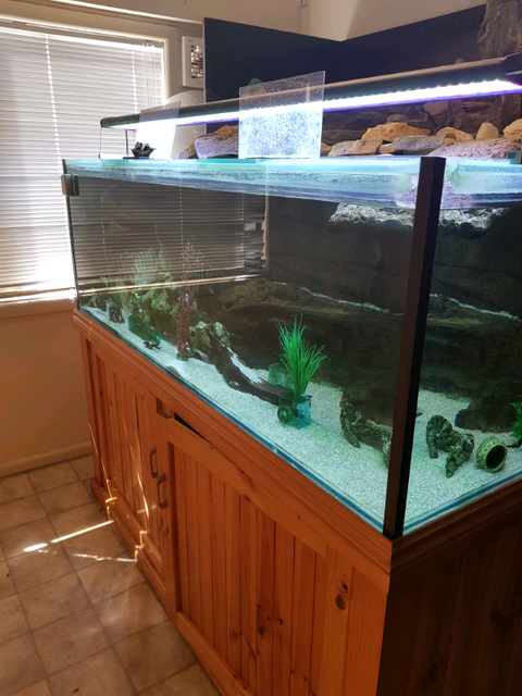 6ft turtle tank and enclosure, fish tank | Pet Products | Gumtree