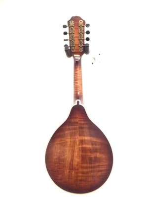 Washburn M116SWK Vintage Mandolin 