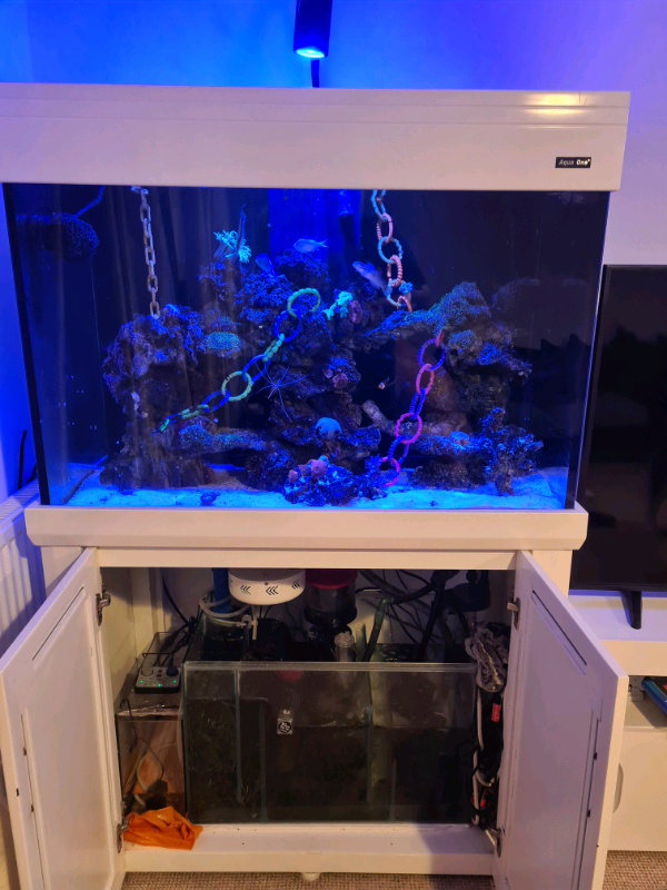 aqua one 300 sumped fish tank in Kings Lynn, Norfolk Gumtree