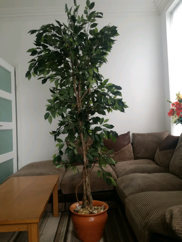 Artificial plant in Derby, Derbyshire Gumtree