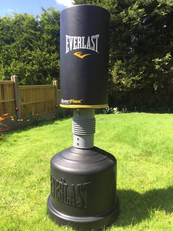 Everlast Standing Punching Bag semashow com