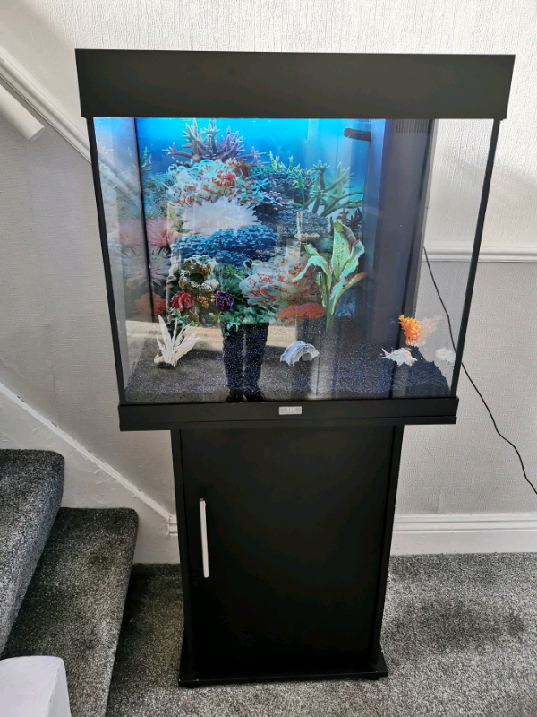 Fish Tank And Stand Full Set Up in Hull, East Yorkshire Gumtree