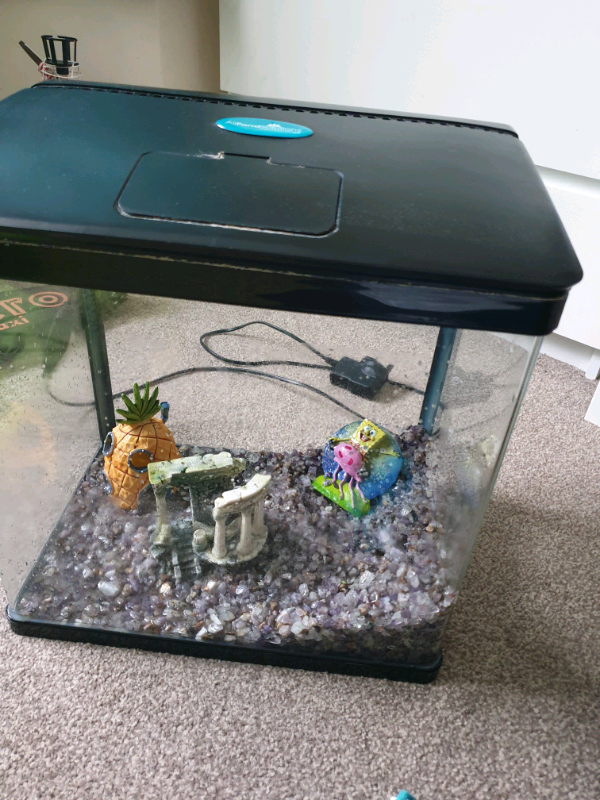 FISH TANK FOR SALE in Romford, London Gumtree