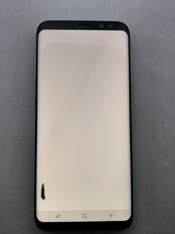 s8  dual sim