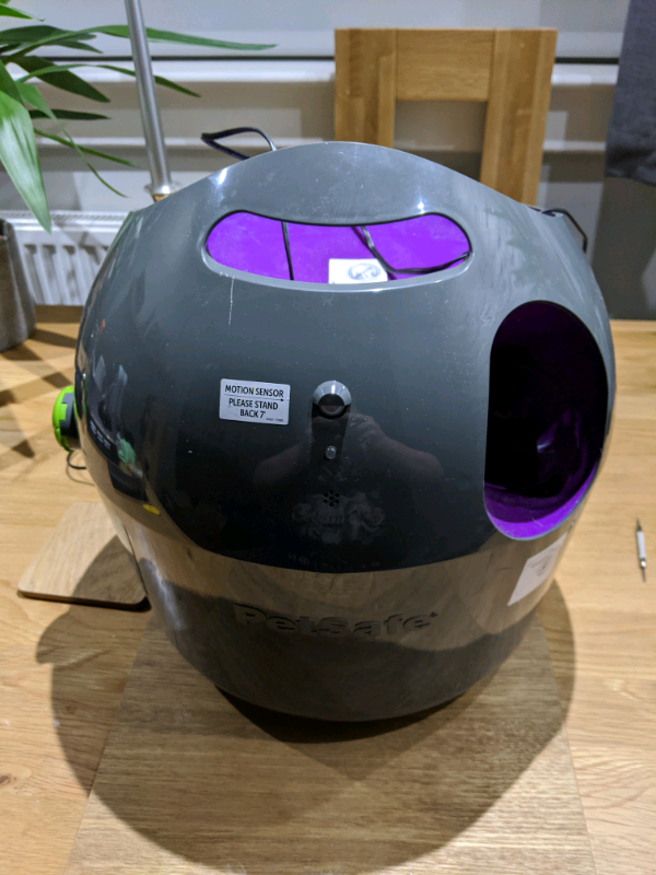 motorized tennis ball for dogs