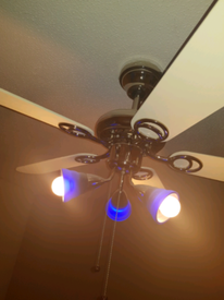 Ceiling Fans Stuff For Sale Gumtree