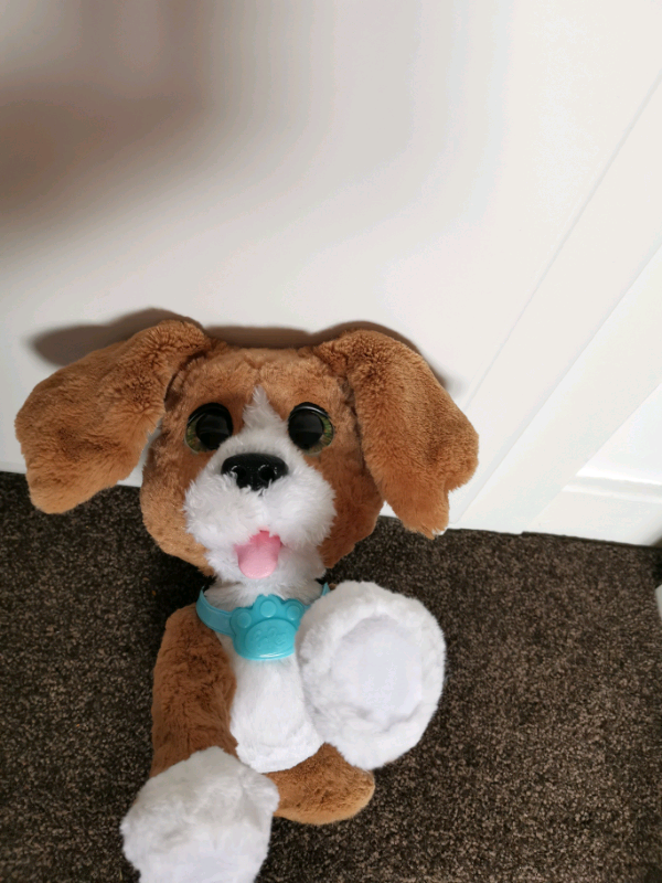 fur real dog price