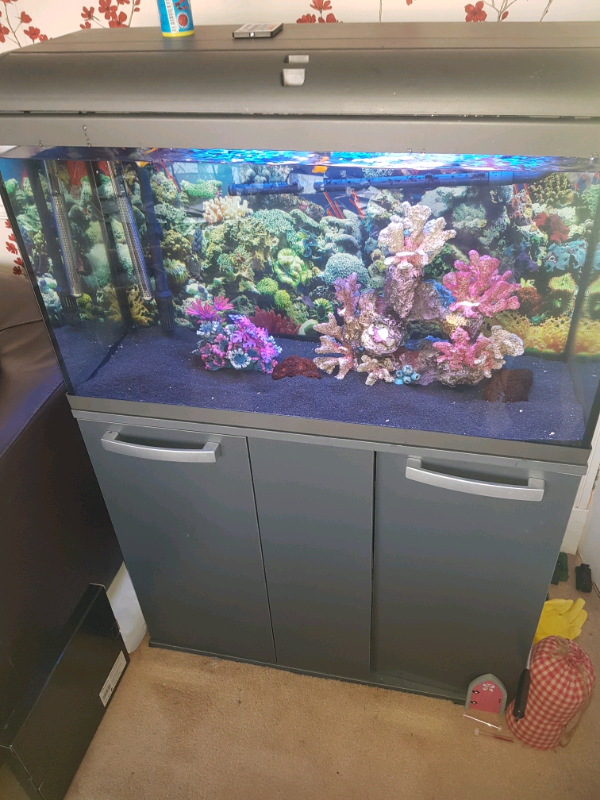 Tropical fish tank 110 litre in Poole, Dorset Gumtree