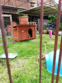 Omlet Eglu Classic Chicken Coop In Stoke On Trent Staffordshire