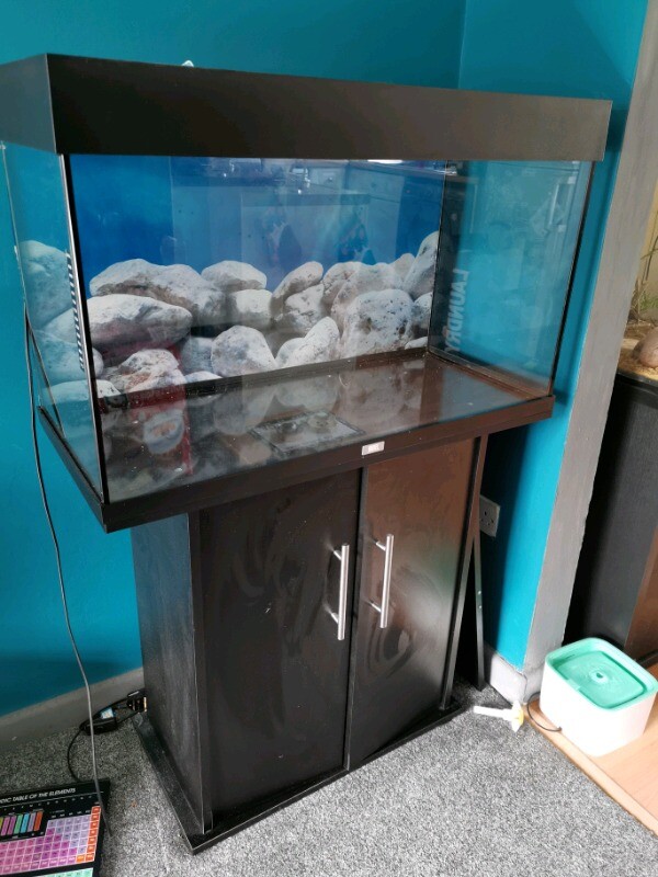 juwel aquarium 125L, with stand and external filter, fish tank. NO FISH