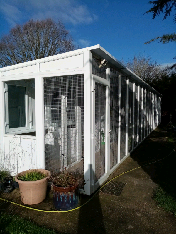 Upvc Cattery pens (Pedigree Pens) in Fareham, Hampshire Gumtree